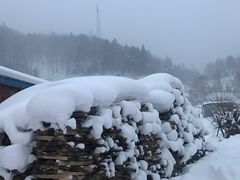-雪谷