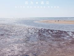 -南戴河旅游度假区
