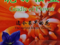 -辽宁古生物博物馆