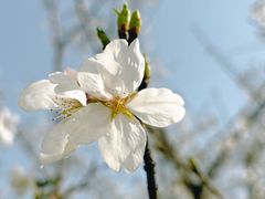 -西北湖绿化广场