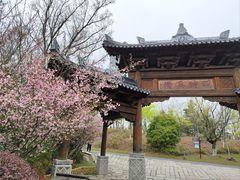 -茅山东方盐湖城景区