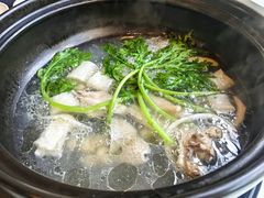 -烹然四季椰子鸡火锅(团结湖总店)