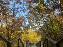 -黑龙潭风景区
