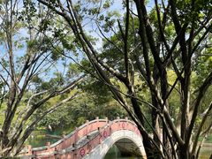 -深圳龙潭公园