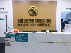 -瑞派康怡24h宠物医院·犬猫医疗中心·微创绝育(瑞景分院)