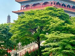-广州莲花山旅游区