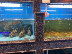 -王庄阿咪海鲜大排档(象园店)