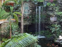 -广州白天鹅宾馆