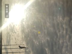 -泰谷酒店·太古码头闽菜自助餐厅