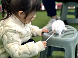 -萌宠亲子动物乐园(槐房万达店)