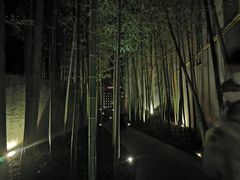 -穹六人间 people 6(岳阳路店)