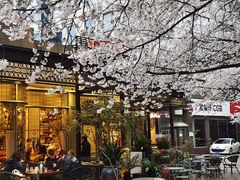 -玛格萝妮比萨屋(四平店)