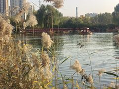 -南翠屏公园