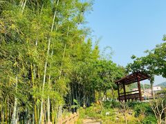 -红山村
