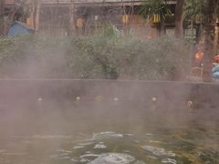 -西安国际创新人才交流中心•药浴温泉