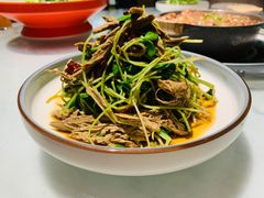 黑腐竹拌有机豆苗-孙记驴肉山庄(李桥店)