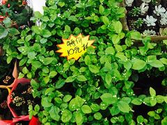 -BHG生活超市(安贞店)