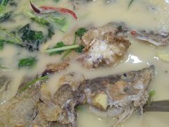 -岩泊渡桂鱼楼活鱼馆
