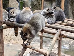 -杭州野生动物世界