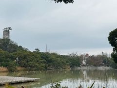-江心屿景区