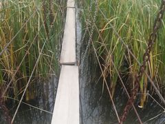 -河北村民俗体验园