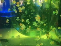 -常州海昌海洋探索馆