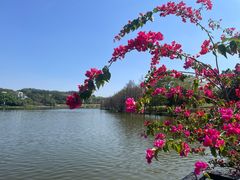 -东莞植物园