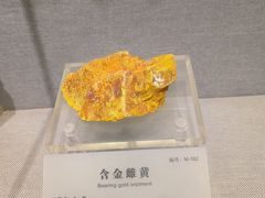 -湖南省地质博物馆