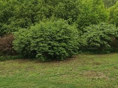 -长春公园(普阳街道)