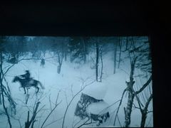 -AMG海上明珠影城(上海环球港RealDCinema店)