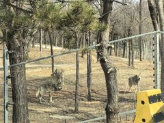 -秦皇岛野生动物园