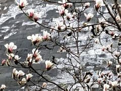 -东华门大街小区