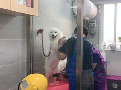 -宠福鑫康馨动物医院·骨科·眼科