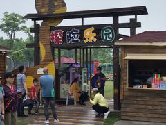 -上海长兴岛郊野公园