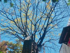 -乌山风景区
