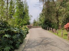 -贵阳市花溪国家城市湿地公园