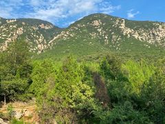 -禅宗少林·音乐大典