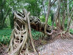 -中国科学院西双版纳热带植物园