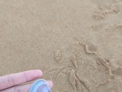 -威海国际海水浴场旅游区
