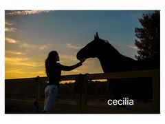 -月河湾马术俱乐部(朝阳店)