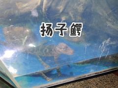 -上海大自然野生昆虫馆(东方明珠·爬宠昆虫探索中心)