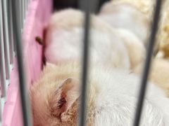 -万达广场(南京江宁店)