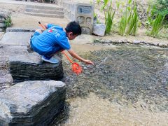 -白水寺森林公园