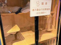 -火星工厂·桌游·团建聚会·轰趴馆(厦滘店)