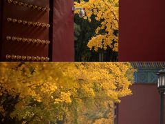 -潭柘寺景区