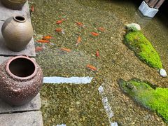 -几荷·恰似故人来(秀水广场店)