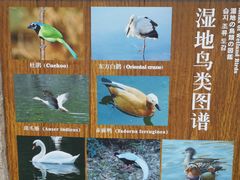 -梁鸿国家湿地公园