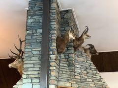 -Lake Hawea Hotel