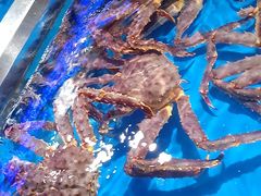-盒马鲜生(悦峰店)