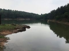 -南京市无想山景区